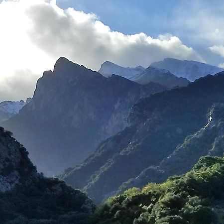 El Chalet De La Poza - Rio, Barbacoa, Wifi, Zona De Trabajo, Vistas. Lebena Ngoại thất bức ảnh